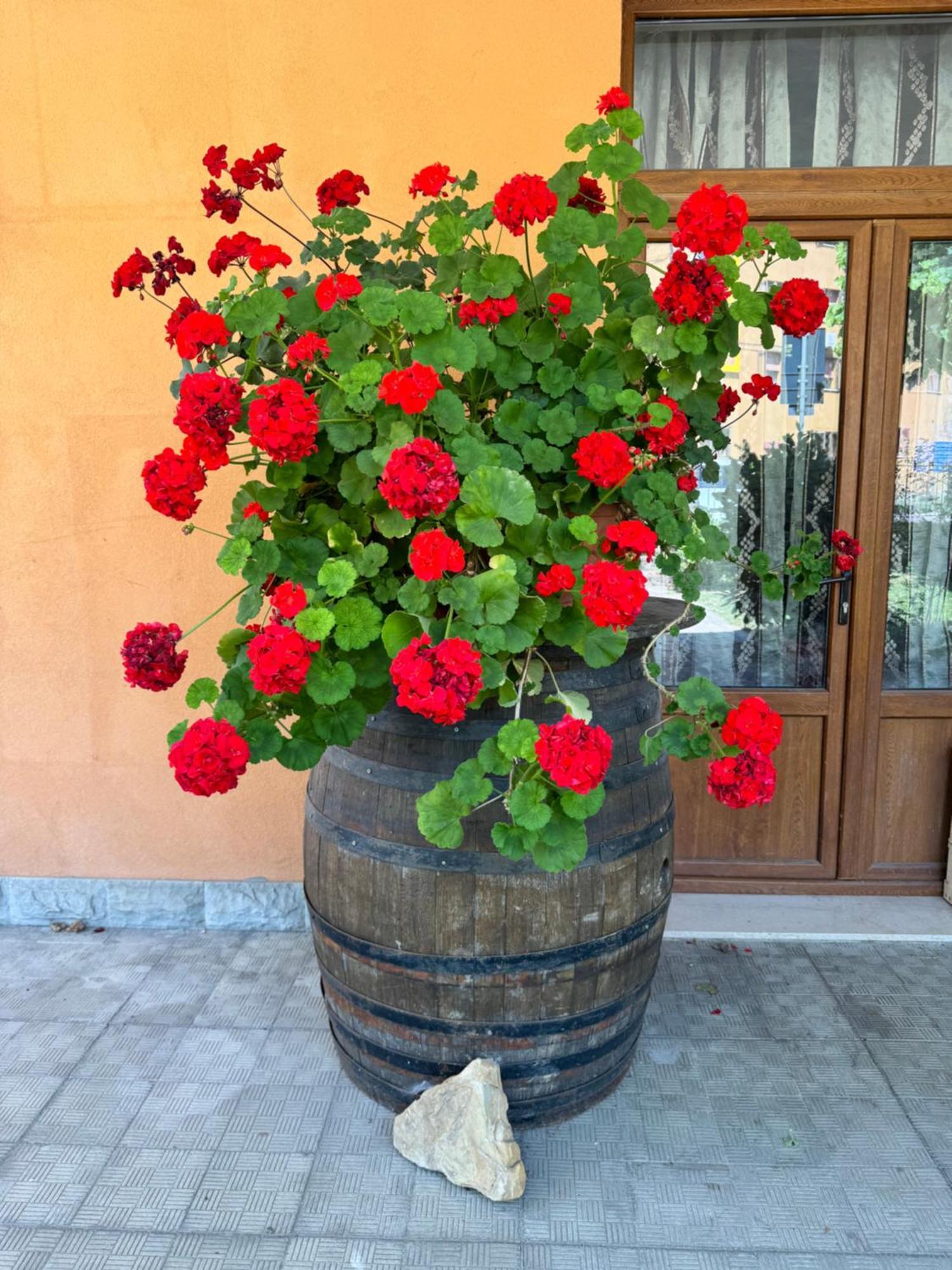 B&B Romani Madonna di Fornelli Екстер'єр фото